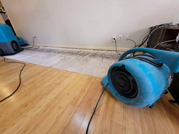 Professional Structural Drying technician working in Lexington, OH
